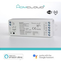 Ricevitore DIM +pulsante 12/36V DC,2CH*5A, Wi-Fi+RF 2.4G CCT